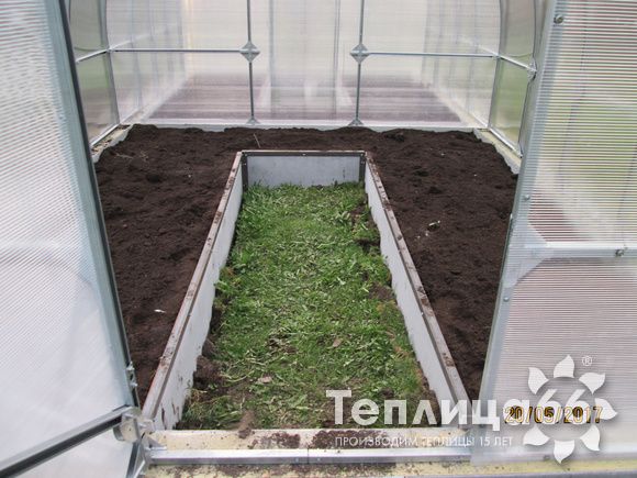 Теплица Рада 3М из поликарбоната, ширина 3 м